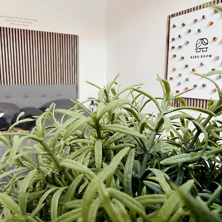 Homestay Nerd - Gaestezimmer In Alter Garage